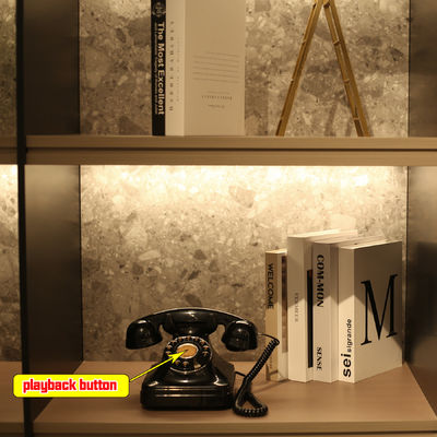 Personalized Audio Guest Book Wiadomość głosowa 32GB Zostaw wiadomość Telefon Ślub